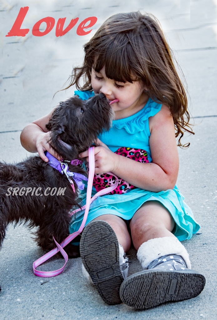 black dog beside little girl